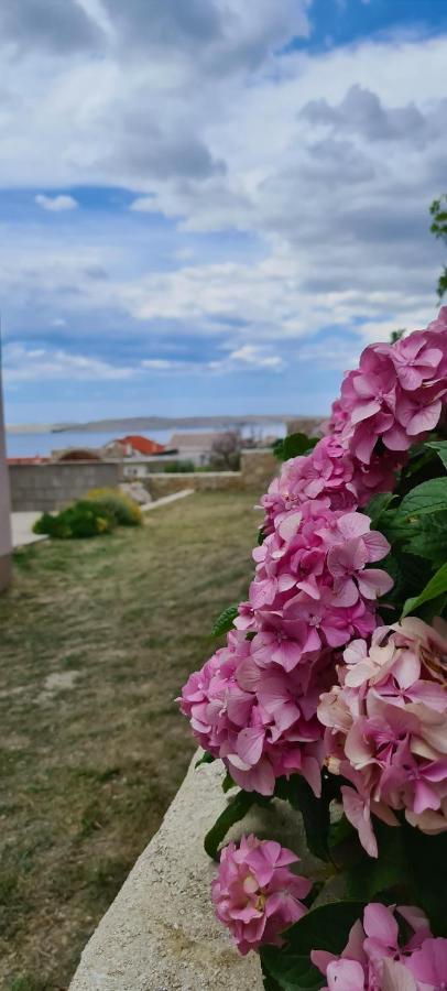 Apartmani Cesar Rtina Εξωτερικό φωτογραφία